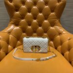 디올 (OC) 카로 미니 백 미니백 Mini 송아지 가죽 퀼팅 화이트 9241