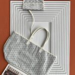 고야드 (리미티드) 앙주 미니백 Mini 고야딘 캔버스 리미티드 에디션 그레이 8017