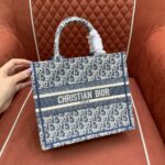 디올 (OC) 디올 북 토트 토트백 캔버스, 가죽 로고 패턴 하늘색 1265