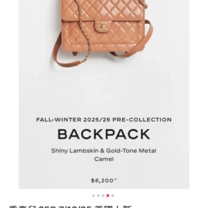샤넬 (팬더) 25B 신상 카멜 더블 백팩