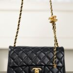 샤넬 (팬더) 25B 더블 C 체인 CF 미니 블랙 양가죽
