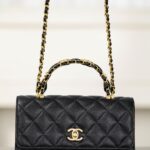 샤넬 (팬더) 25B 더블 C 핸들 풍琴백 블랙