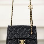 샤넬 (팬더) 25B 더블 C 체인 미니 블랙 양가죽