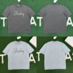 디올 【잔디집】 디오링 로고 반팔 티셔츠（레어）