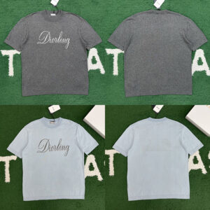 디올 【잔디집】 디오링 로고 반팔 티셔츠（레어）