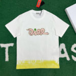 디올 【잔디집】 x KAWS 로고 반팔 티셔츠（레어）