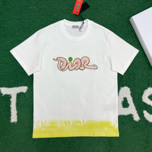 디올 【잔디집】 x KAWS 로고 반팔 티셔츠（레어）