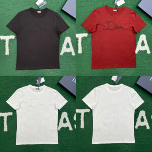 디올 【잔디집】 크루넥 반팔 티셔츠 코튼 리본 자수 （레어）