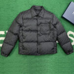 디올 【잔디집】 오블리크 다운 자켓（레어）