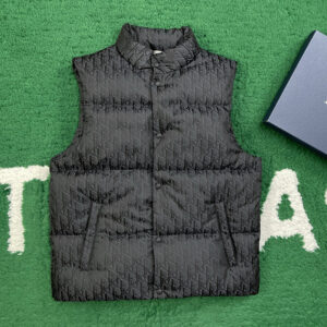 디올 【잔디집】 오블리크 다운 베스트 (레어)