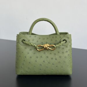 보테가 (징) 안디아모 미니 올리브 오스트리치 가방 805232