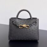 보테가 (징) 안디아모 블랙 타조가죽 미니백 805232